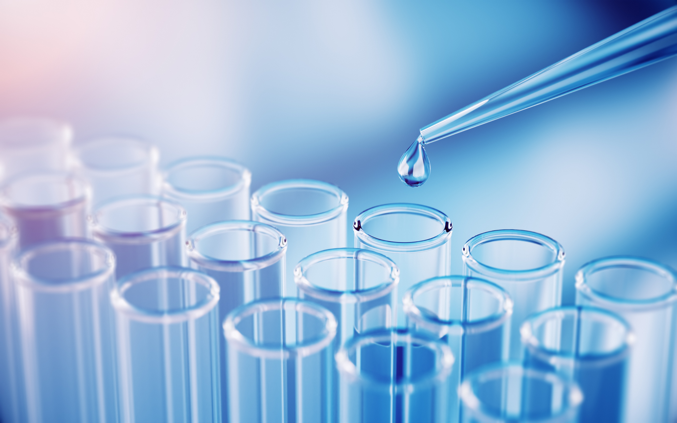 Entrada de la tercera generación en la empresa familiar. 