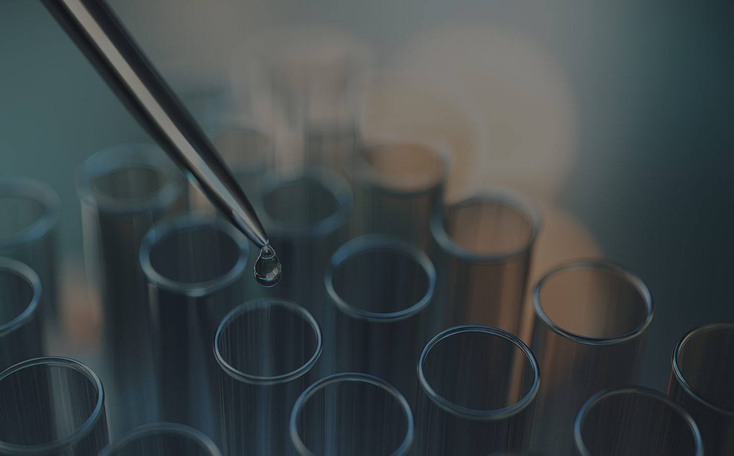 Innovación para el bienestar.