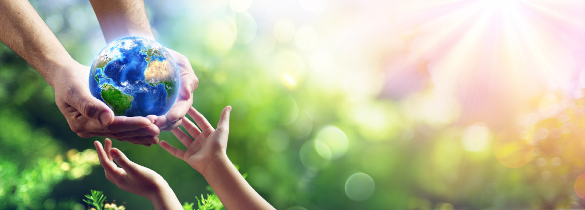 The “Solidarity Dermatology” award sponsored by Laboratorios Viñas goes to a project for the control and prevention of cutaneous leishmaniasis in Bolivia