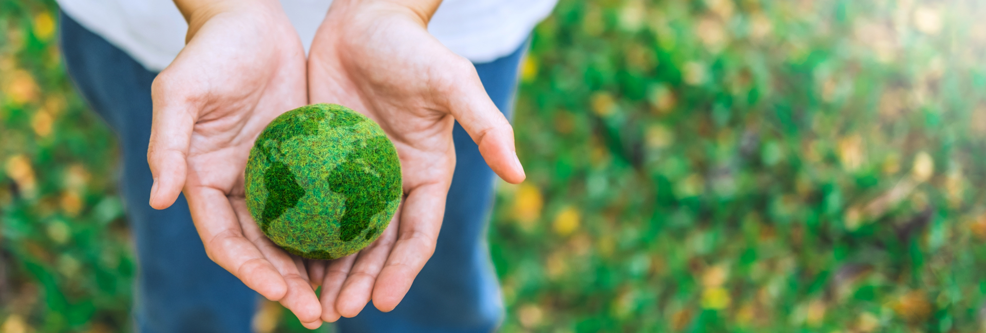Laboratorios Viñas instala 770 placas solares con las que evitará la emisión anual de más de 252 toneladas de CO2 a la atmósfera